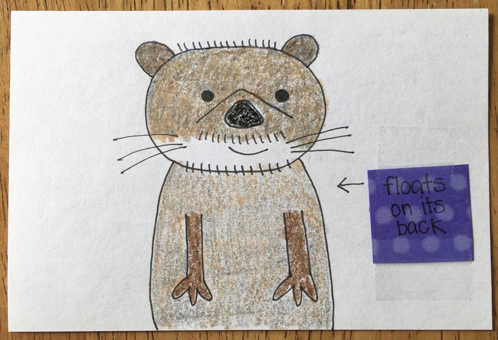 river otter for an upcoming lesson plan by wiesnerbeth
