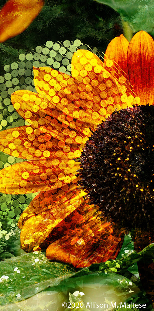 Sequined Sunflower by falcon11