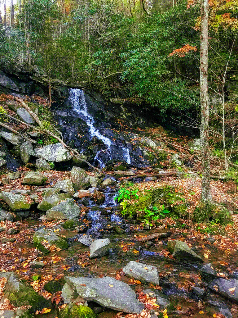 Barnes Creek Waterfall by k9photo