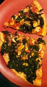 28th Oct 2020 - Some spinach and vegetable Pizza.