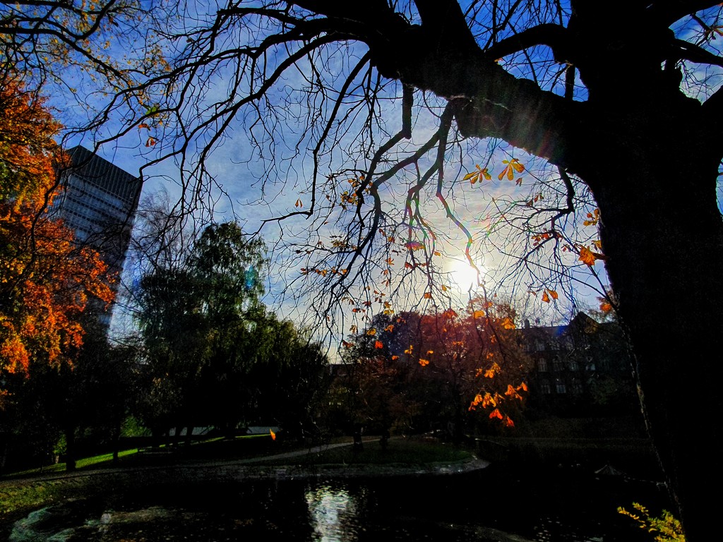 An autumn morning by isaacsnek