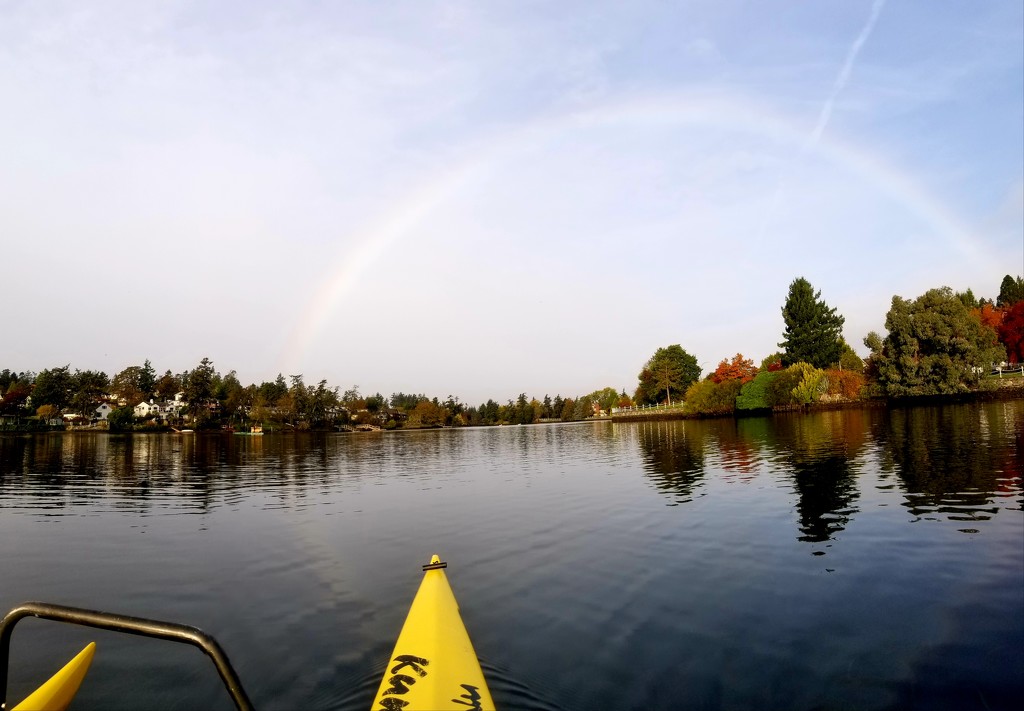 Rainbow Paddle by kimmer50