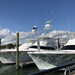 Yachts, see! by homeschoolmom