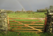 28th Oct 2020 - over the gate