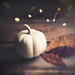 Just a Little Pumpkin by lyndemc