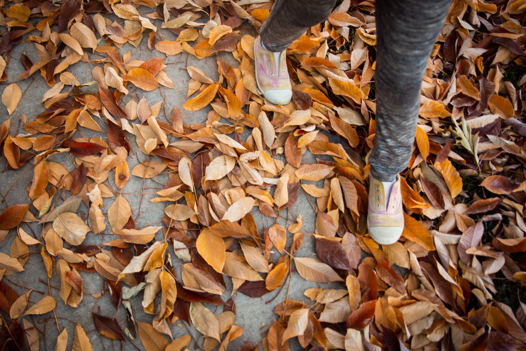 Walking on Leaves by tina_mac