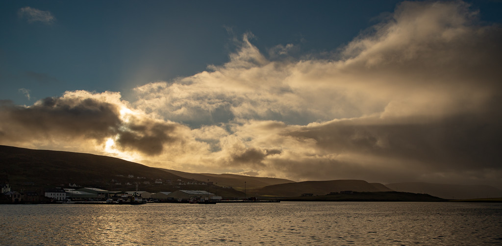 Morning Light by lifeat60degrees