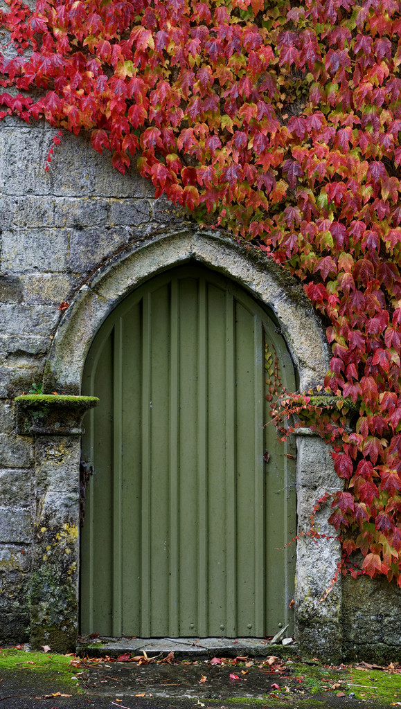1029 - The door to autumn by bob65