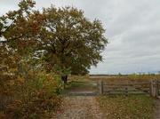 30th Oct 2020 - entrance to a nature area