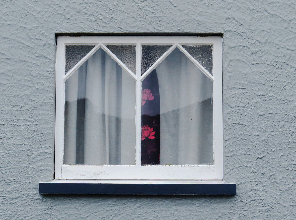 window by kali66