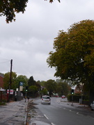 2nd Oct 2020 - Another rainy day
