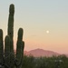 Good Evening Arizona by corinnec