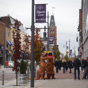 29th Oct 2020 - T-Rexes Loose Downtown!