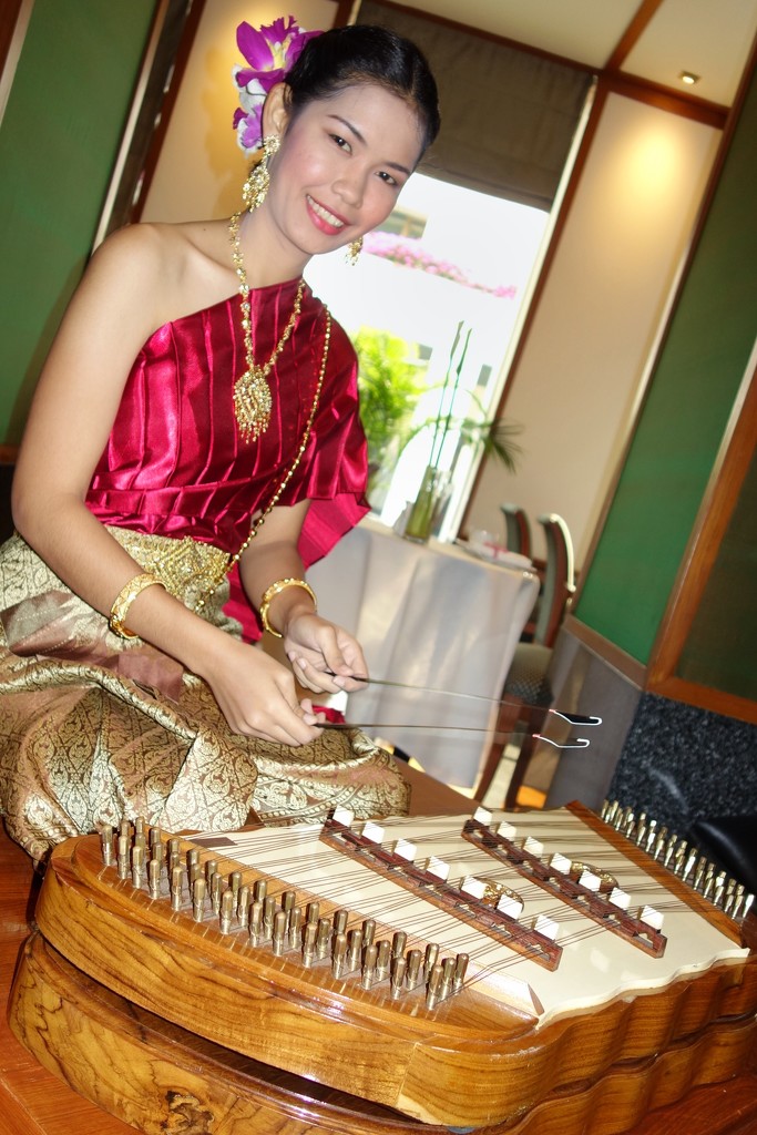 Thai khim string instrument by johnfalconer