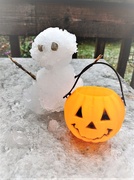 30th Oct 2020 - Mini Snowman and Mini Pumpkin 