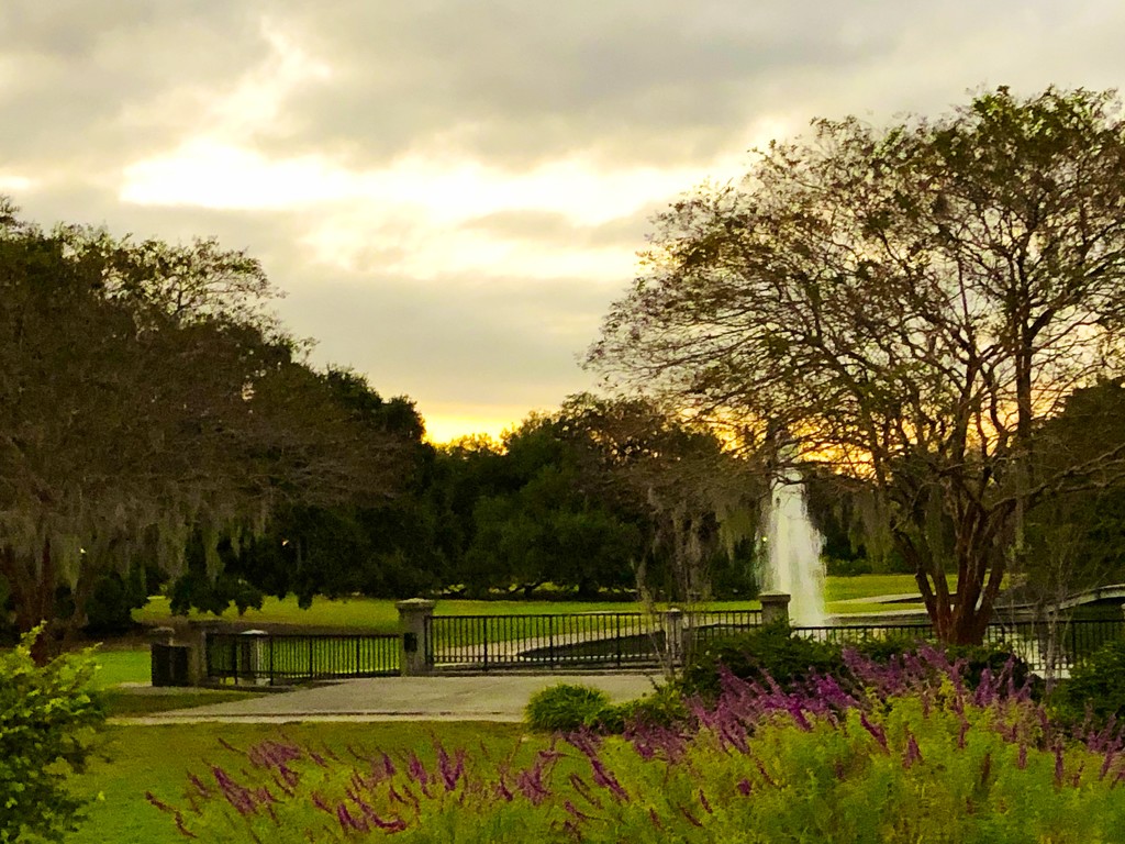 Early evening at Hampton Park by congaree