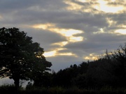30th Oct 2020 - Early evening sky