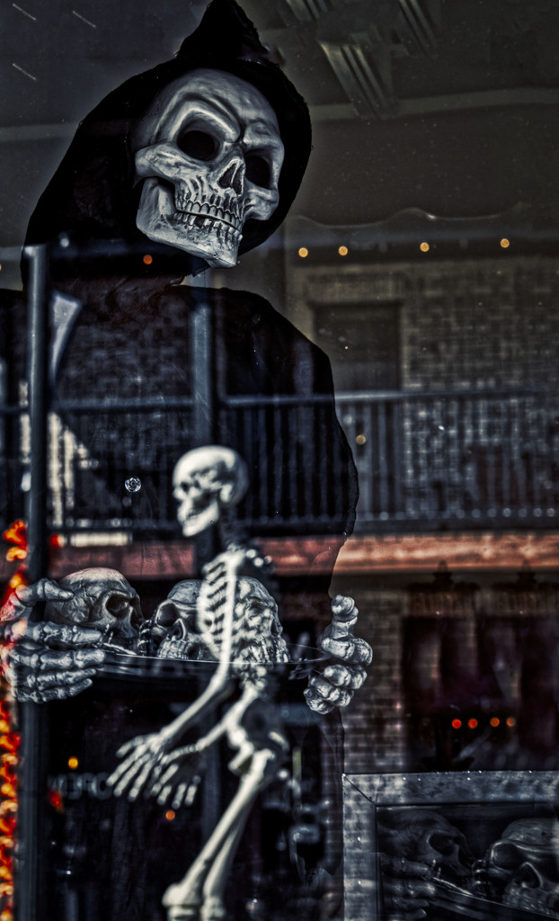 The Grim Reaper by kvphoto