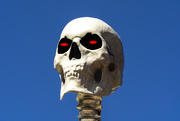 30th Oct 2020 - Scary Skeleton