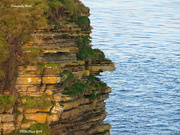 30th Oct 2020 - Duncansby Head