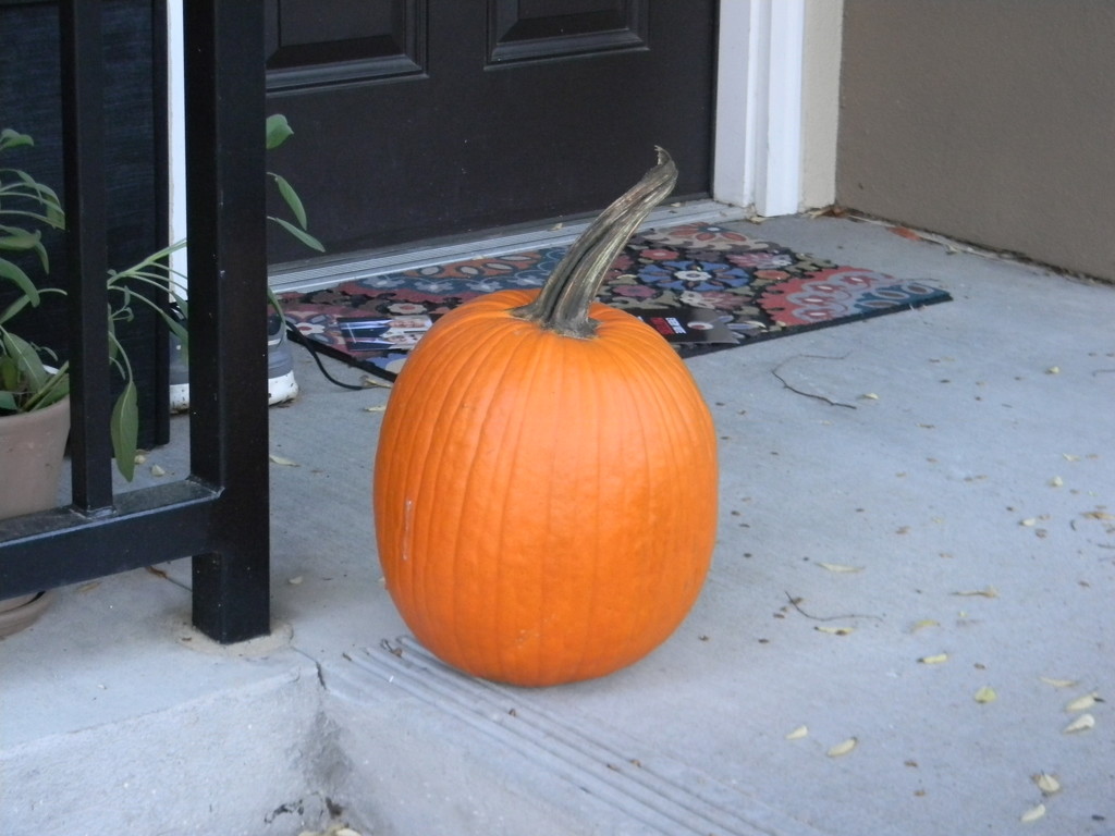 Pumpkin on Porch by sfeldphotos