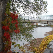 30th Oct 2020 - Riverside Trail