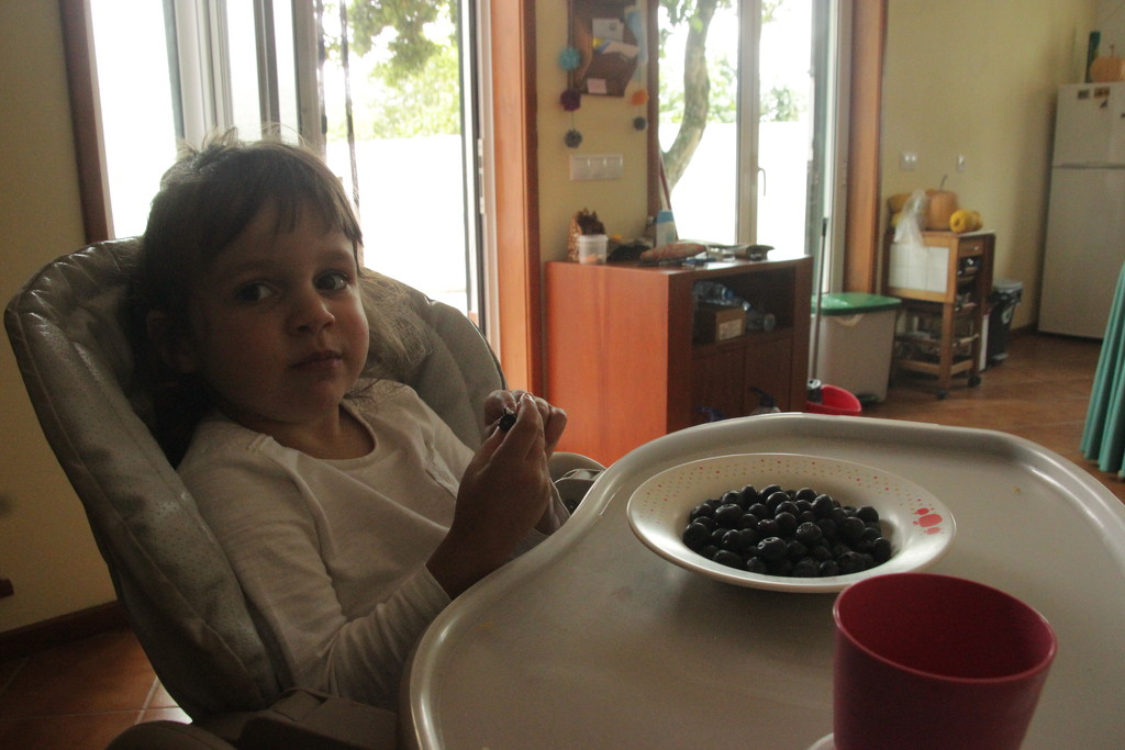 Blueberries!! by belucha