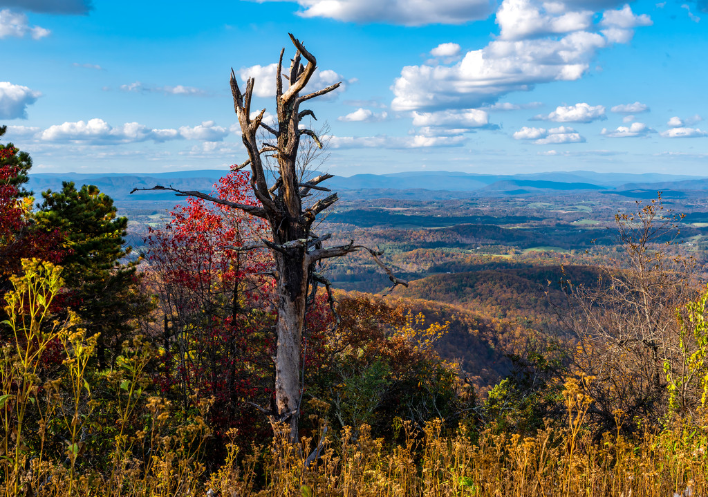 fall colors mountain- by myhrhelper