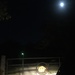 Circle Turtle Moon by moonshinegoober