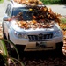The fallen leaves are sliding of the car. by bruni