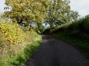 31st Oct 2020 - Country lane