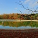 autumn reflections by gijsje