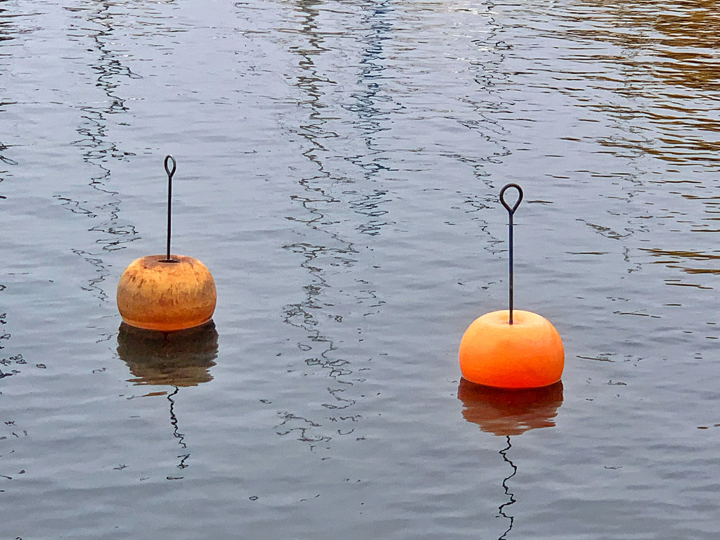 Floating pumpkins.  by cocobella