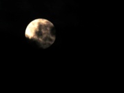 31st Oct 2020 - The Monster in the Moon