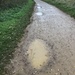Muddy walk..... by anne2013