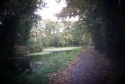 1st Nov 2020 - Basingstoke Canal