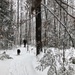 Winter Wonderland by sunnygreenwood