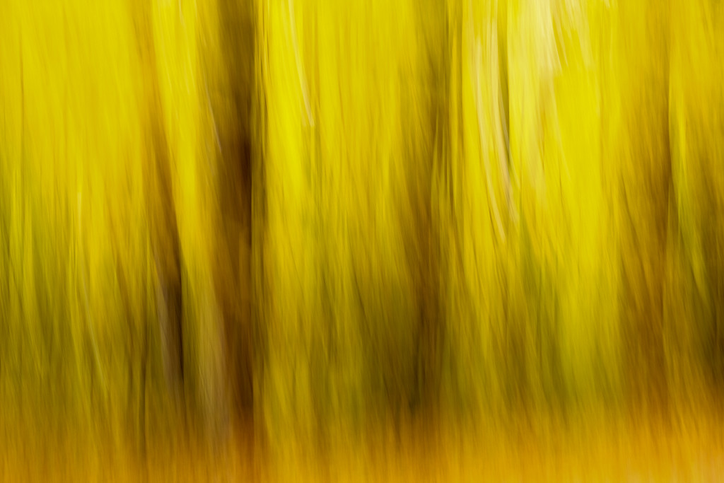 Autumn Blur by sprphotos