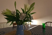 1st Nov 2020 - Flowers, light & a glass of G&T