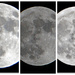 10 31 2020 Full moon by larrysphotos