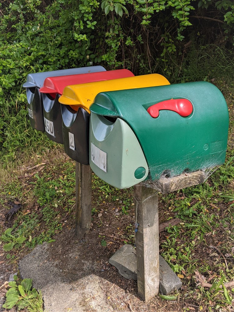Letter boxes by sandradavies