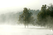 1st Nov 2020 - Fog Hiding the Lake