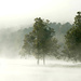 Fog Hiding the Lake by milaniet