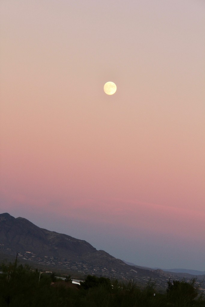 Arizona Moon Rise by corinnec
