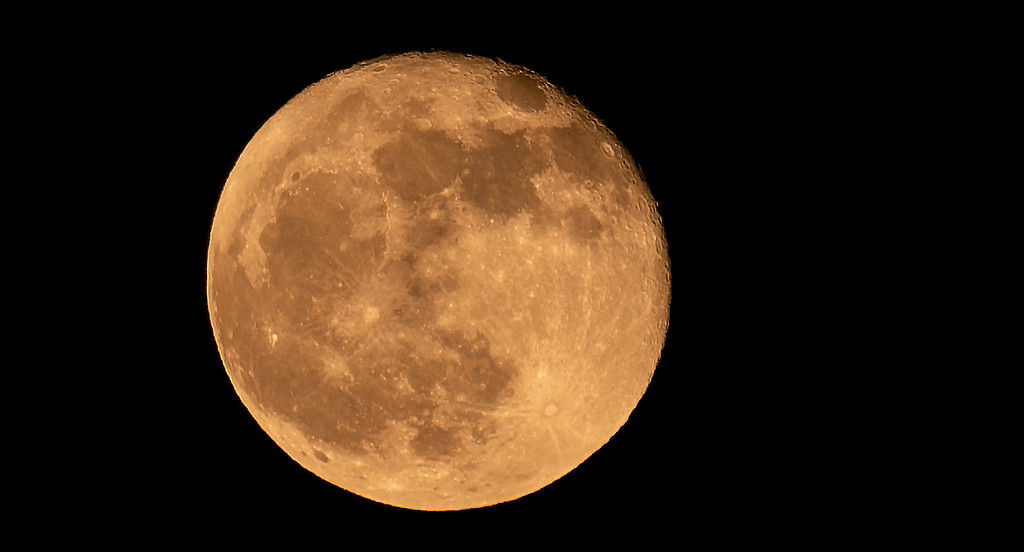 Got the Moon Tonight! by rickster549