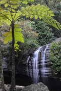 2nd Nov 2020 - Serenity Falls, Buderim