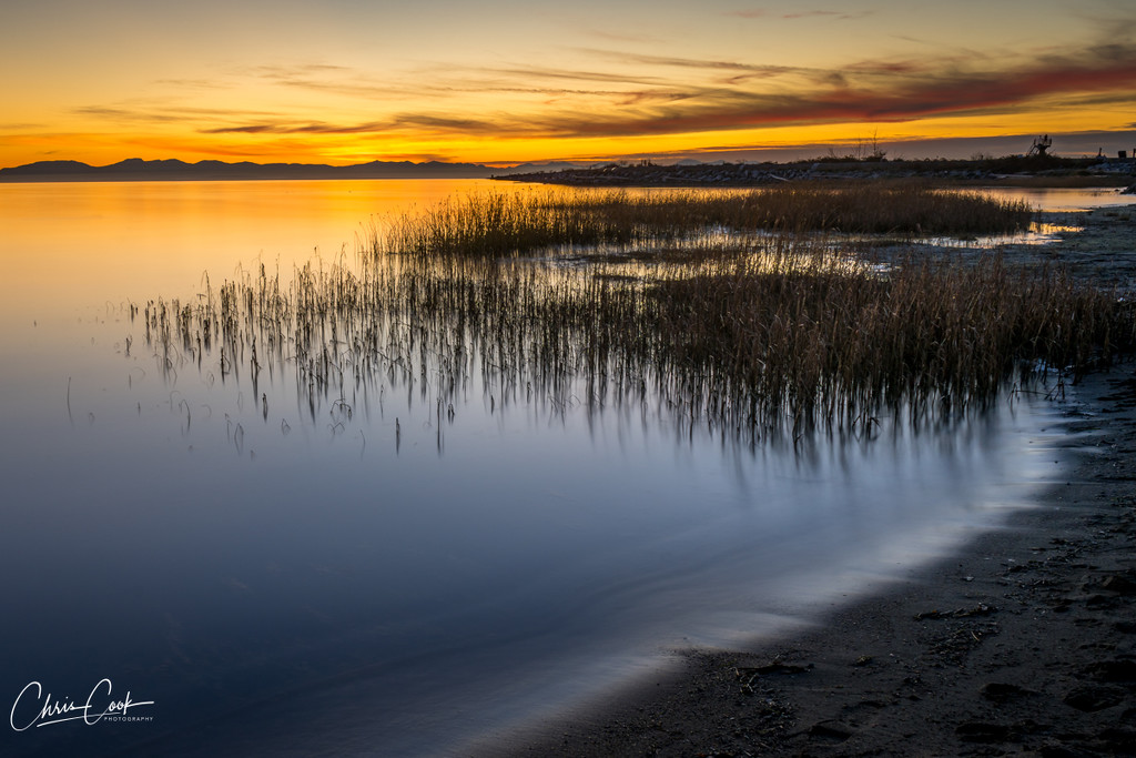 Iona Beach Sunset by cdcook48