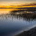 Iona Beach Sunset by cdcook48