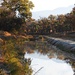 Acequia (New Mexican Irrigation Ditch) by janeandcharlie
