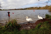 2nd Nov 2020 - YET ANOTHER LOVELY DAY FOR SWIMMING